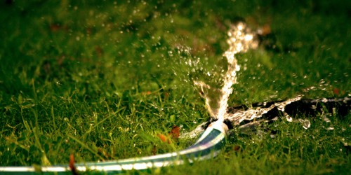 blur-blurry-burst-666013